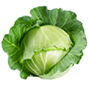 CABBAGE