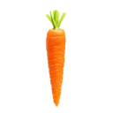 CARROT