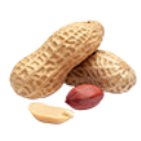 GROUNDNUT